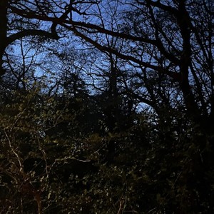 The place beyond the pines (feat. Yajvader) (Explicit)