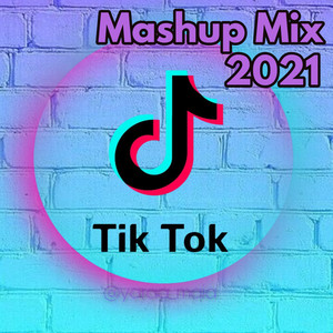 Tik Tok Mix Vol 8