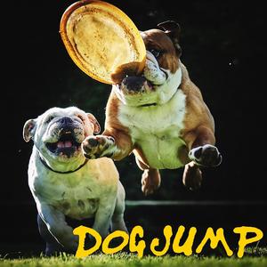 Dog Jump