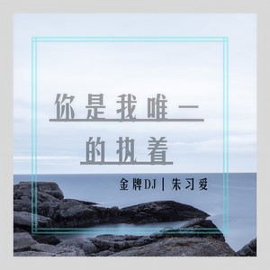 你是我唯一的執著 - 朱習愛 - qq音樂-千萬正版音樂海量無損曲庫新歌