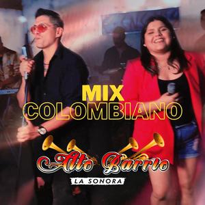 MIX COLOMBIANO: MI EX TENÍA RAZÓN / LÁGRIMAS DE ESCARCHA / EL REO AUSENTE / TRAICIONERA (MEDLEY)