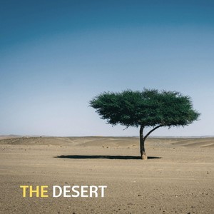 The Desert