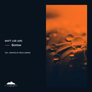 Sorrow (Dio S Re-Interpretation)