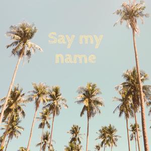 Say My Name (feat. SBH) [Explicit]