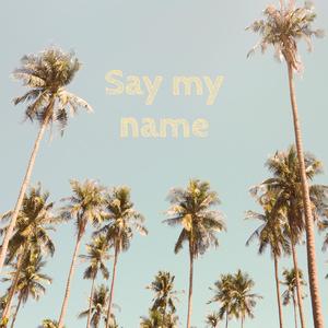 Say My Name (feat. SBH) (Explicit)