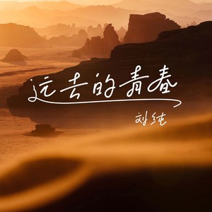 远去的青春-刘纯