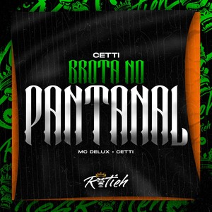 Brota No Pantanal (Explicit)