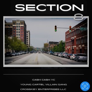 Section 8 (Explicit)