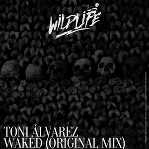 Waked (Radio Edit)