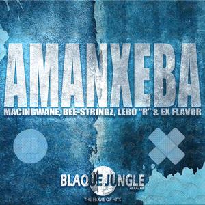 Amanxeba (feat. Macingwane, Bee-Stringz, Lebo 