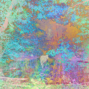 Wiseguy (Thousand Years Remix)