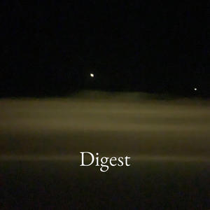 Digest (feat. Vika Tobi) (Explicit)