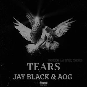TEARS (feat. JAY SMOKE & MiGRILLO) (Explicit)