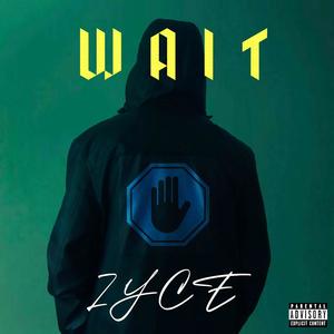 Wait (Explicit)