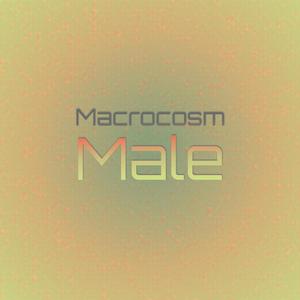 Macrocosm Male