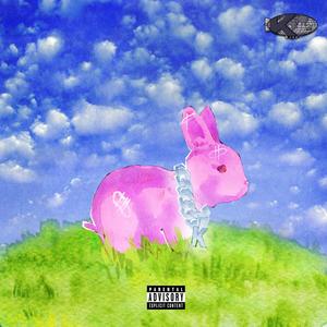 Free my Twin (Explicit)