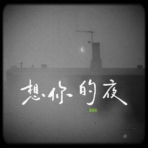 想你的夜-陈伯丞