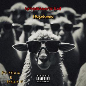 Umsebenzi (feat. Xylo M & Smallz 17) [Explicit]