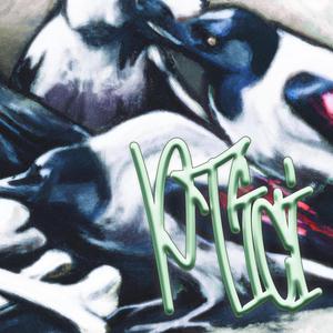 Ptiči (feat. 6ame6 & Shiki) (Explicit)