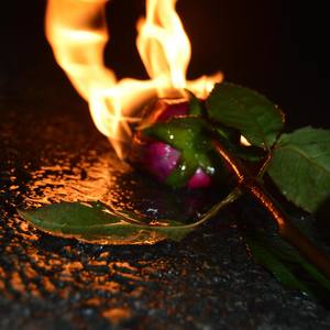 Testimony (Explicit)