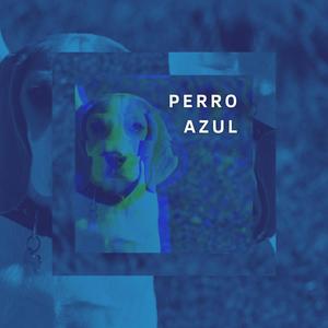 Perro Azul