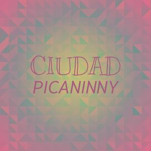 Ciudad Picaninny