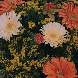 FIATO (feat. YOSSIMO) (Explicit)