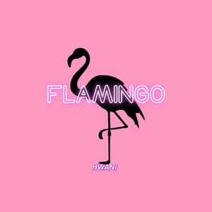 Flamingo【中文填词】