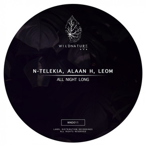All Night Long (Original Mix)