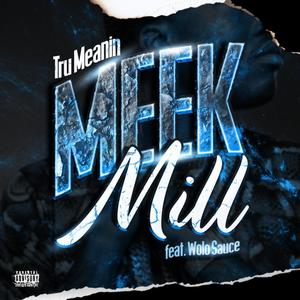 Meek Mill (feat. Wolo Sauce) [Explicit]