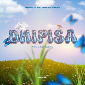 Dhipisa (feat. Driller D)