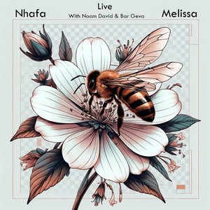 Melissa (Live)