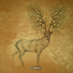 Convex Shape (Original Mix)