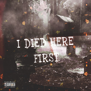 No Romance (Explicit)