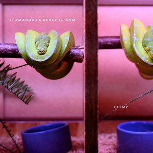 Orangut the Orangutan