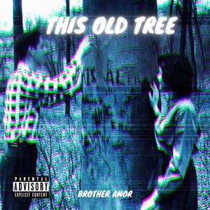 This Old Tree (Explicit)