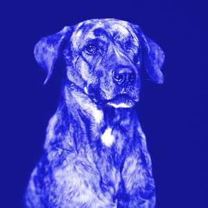 Kept My Eyes Shut (Orchid Remix)