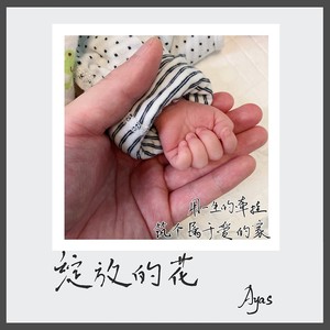 绽放的花 (伴奏)