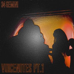 Voicenotes (Full Version)