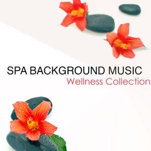 Spa Background Music Wellness Collection (Background Music for Spa)