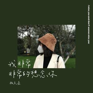 我非常非常的想念你 伴奏