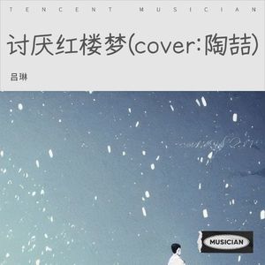 讨厌红楼梦-吕琳