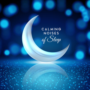 Calming Noises of Sleep: Listen and Enjoy the Best New Age Ambient Music Composed for Perfect Sleep, Rest and Calming Down