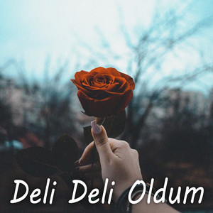 Deli Deli Oldum