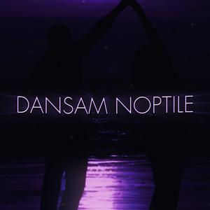 Dansam noptile (feat. RXBBIE)