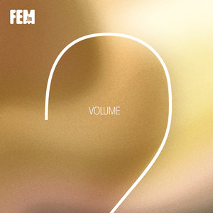 FEM.fm: Vol. 2