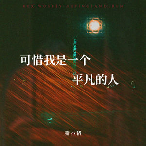 可惜我是一个平凡的人