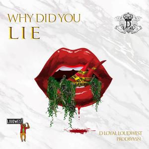 Why Did You Lie (Explicit)