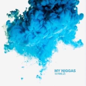 My Niggas (Explicit)