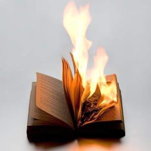 Burning Diaries (Explicit)